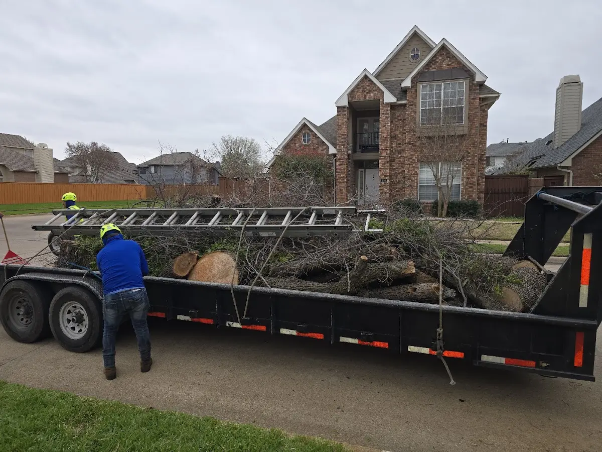 Expert Tree Fertilization with proper safety equipment in Accokeek